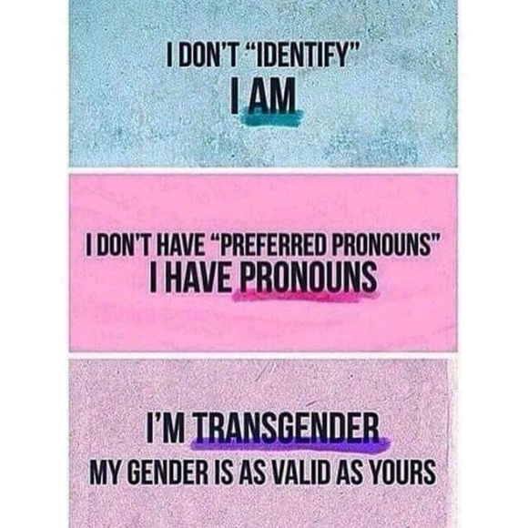 Meet your Posher, Sunny - Picture 5 of 8